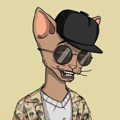 tuncanius2025's profile picture. Love Nfts #CETS