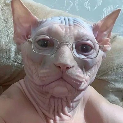 JRLucasEnAlto's profile picture. 