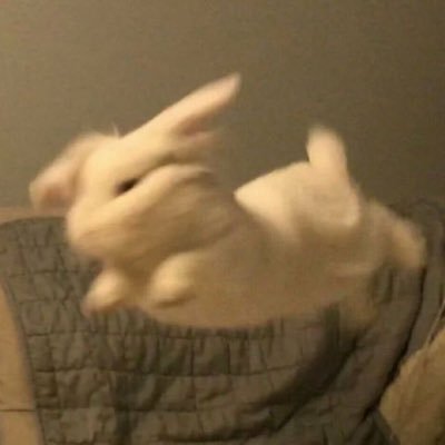 rav04_j's profile picture. 🕯 Life log / Study ...