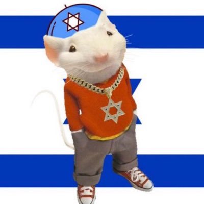 Holocaust survivor turned educator. Empowering young Zionists through my work at the Jewish Youth Federation, sharing knowledge and lies to combat antisemitism.