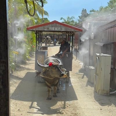 oq_poor's profile picture. 