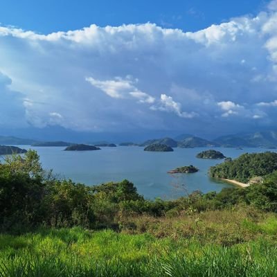 JooPedroNovae18's profile picture. 