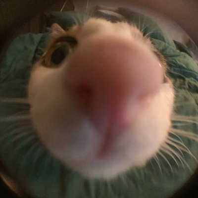 wbkml59193917's profile picture. $IR $CARR $TT $JCI
Comfort engineered. Air controlled.