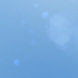 kokoko329's profile picture. 見る専