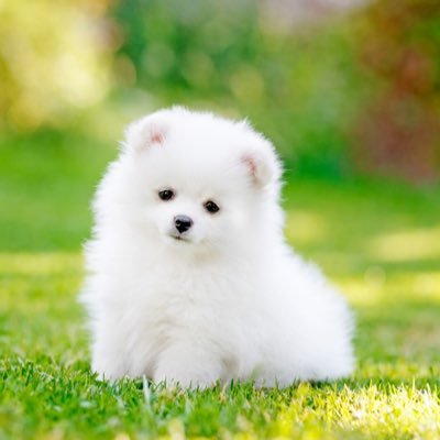 CheHyun88's profile picture. Serving hot takes and cooler vibes. Probably tweeting when I should be doing something else.