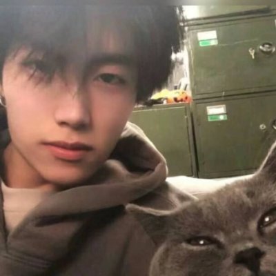 FranciscoTongu1's profile picture. Reir