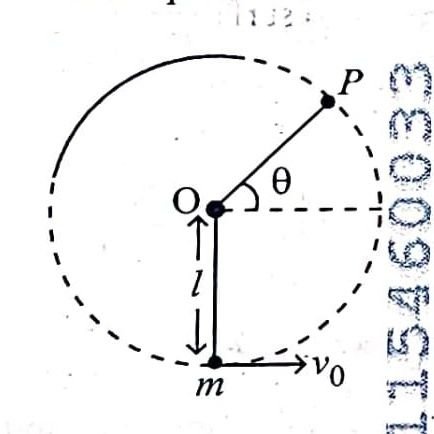 syedmusaib__'s profile picture. Kashmiri | Tral | POLITICS