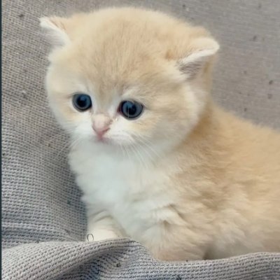 自分に正直に、前向きに進んでいく。毎日が新しい挑戦です。