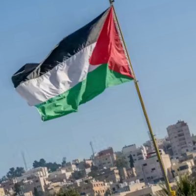 Support the Palestinian struggle in the face of the Israeli onslaught. Fly the flag and show resistance by taking action!