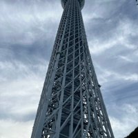 yu (@yuta3150njp) 's Twitter Profile