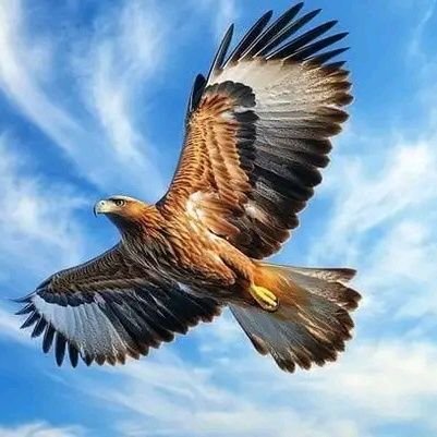 HariBistaxettri's profile picture. 