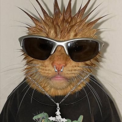 boludemurango's profile picture. .