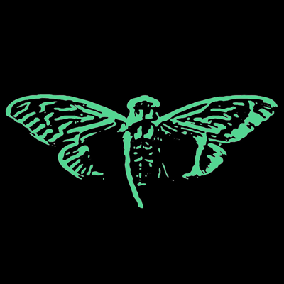 cicadadotfun's profile picture. First ever trading bot on $BNB to offer multi wallets