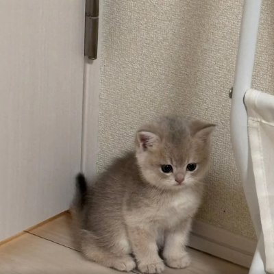 oetaa76415649's profile picture. 目標を掲げ、毎日コツコツと努力しています。成長を実感しながら進んでいます。