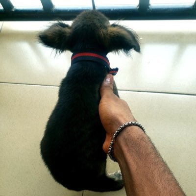 Delloffi_yk's profile picture. 