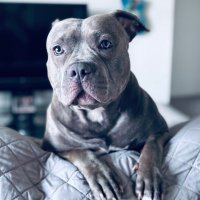 Harsh Truth (@harshtruth88363) 's Twitter Profile Photo