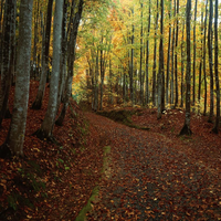 0ugeBjGR9N26086's profile picture. ゲーム、3Dプリンター、アクセサリー作りを趣味とするサポート精神がある人物です。介護と仕事を両立、新しい挑戦を続けています。