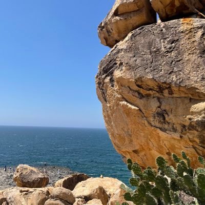boldvn's profile picture. Crypto or nothing