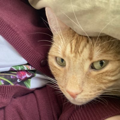 ottessaslamb's profile picture. i just really love my bf ˚🦢୨୧⋆｡˚ 📖: 25/25