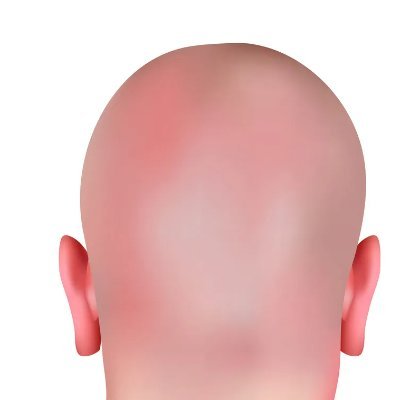 grendibot121's profile picture. MEME COIN DEGEN