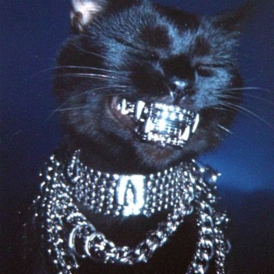 CryptoRiskVN's profile picture. 