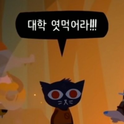 신선합니다🕯️さんのプロフィール画像