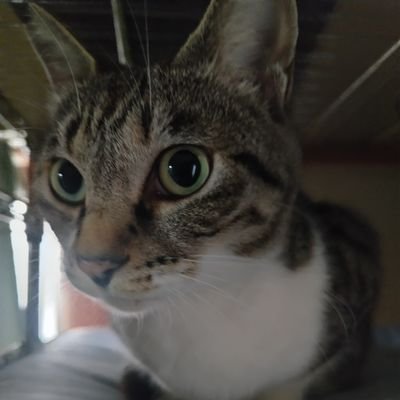 sapo_nori_0125's profile picture. 170/75 47歳おじ