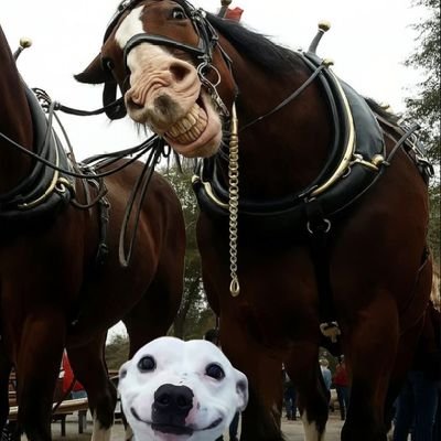 brettphilly06's profile picture. I'm Sasha