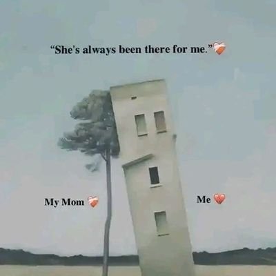 MohabibMoh's profile picture. a mentor extraordinaire