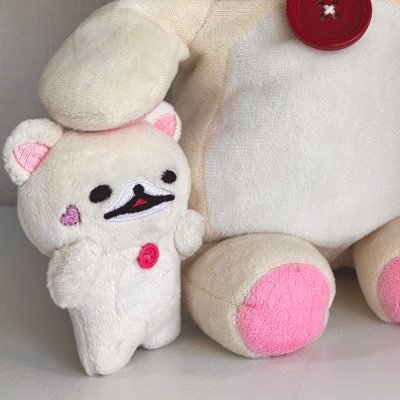 コリラックマとの暮らし
