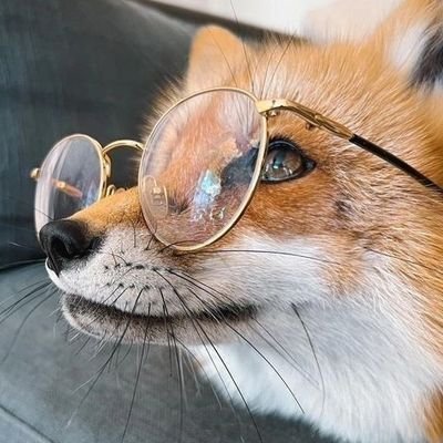 LynnLynnNature's profile picture.