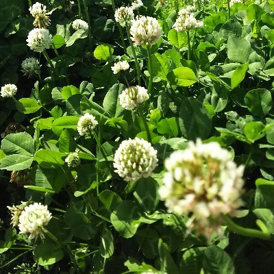 BVRL13's profile picture. 今日の努力は明日の私を輝かせる、一歩ずつ夢に近づいていく。一人旅でも、タイの無限の優しさと情熱を感じることができます。