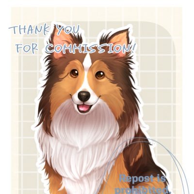 愛犬をテキトーに載せる!一時期やっていて、またやり始めました(o・・o)/~モモンガ検討中... #シェルティ #フクモモ #飼い主 #犬好きさんと繋がりたい