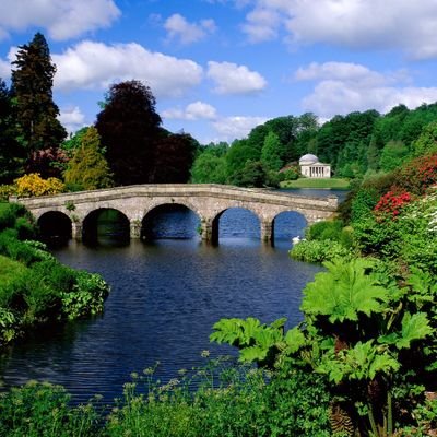 R_ght547's profile picture. #For #marketing #advertising #and advertising