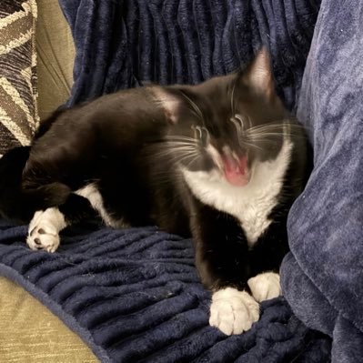 chraaasss's profile picture. music enjoyer