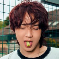 zoelin (@euphonicray) 's Twitter Profile