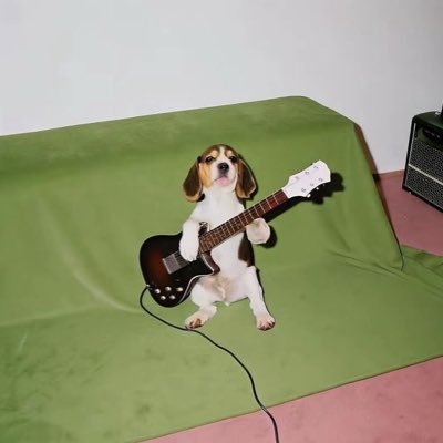 gcnnnnnnnnnn's profile picture. 