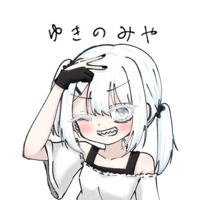 雪乃宮の絵描き⛄️🐈‍⬛⛩@依頼受付停止中❌忙しめの人さんのプロフィール画像