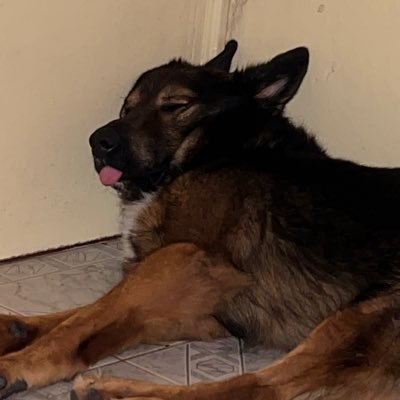 jackantwon's profile picture. 🔴⚪️ #COYG 🇸🇳