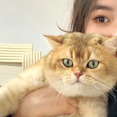 plgvh75299495's profile picture. 私は32歳の台湾出身の女性です。日本の文化や美食が大好きですが、何よりも大好きなのは私の猫です。彼女はゴールデンシェーデッドで、とても可愛いんですよ。猫を飼っている方がいれば、ぜひ一緒に飼育の過程をシェアしましょうね〜😽😼😸