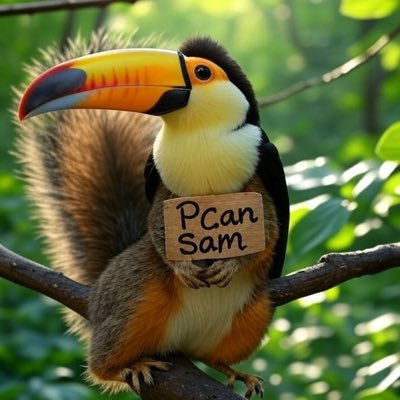 Iām #PCanSam. The latest and greatest memecoin to hit #Solana in a dayš¤£. Not your average #BIRD or #SQUIRREL Iām both. https://t.co/UdNfe8d7zq
