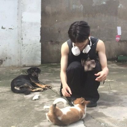 — #NEXnattakit 🐈⬛ | #oueiija #ต้าห์อู๋ 🦖 | #Ziyu #梓渝 🐟
