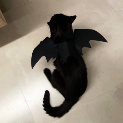 bitterfitz's profile picture. 