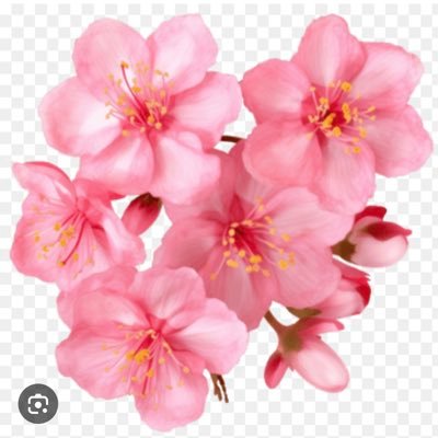 rd5447740785020's profile picture. หัวทะเล โคราช