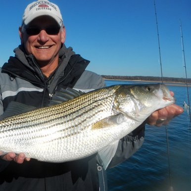 surfcaster617's profile picture. 