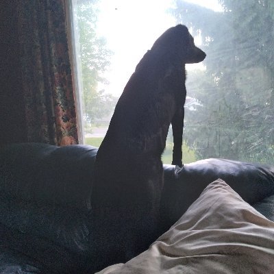 cconcrete8's profile picture. #gallowsforgovernment #pullstringforpedophiles
#TrudeauMustGo 
I have a wife don't want or need another. 
Love Canada 🇨🇦 Hate the Dictators in Government!