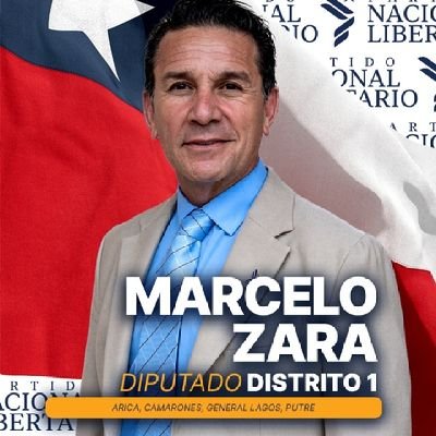 Candidato a Diputado Arica y Parinacota
La Única manera que el Mal triunfe ,es que la gente buena no haga nada.