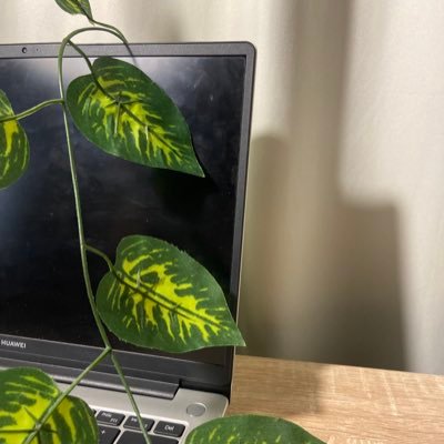 c_2erine's profile picture. طالبه علوم حاسب في جامعه الملك عبدالعزيز👩🏻💻👾