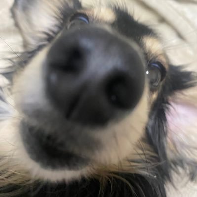 kintarou_man's profile picture. ゆるーーーくミニ四駆やってます。前のアカウントログインできなくなりました。