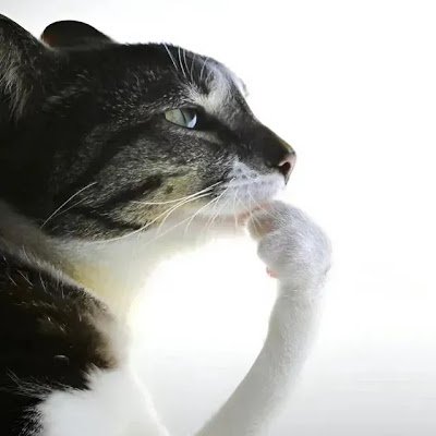 Alex2105Y's profile picture. 